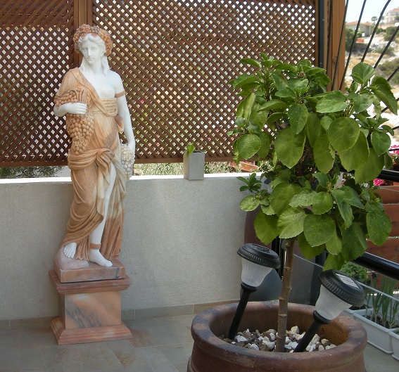 Make a dreamy garden by placing decorative sculptures statues!